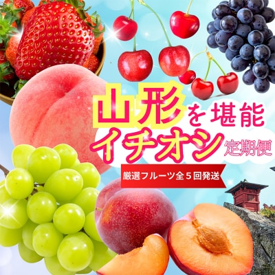 【定期便5回】やまがたを堪能!イチオシ定期便【令和8年産先行予約】FS25-086