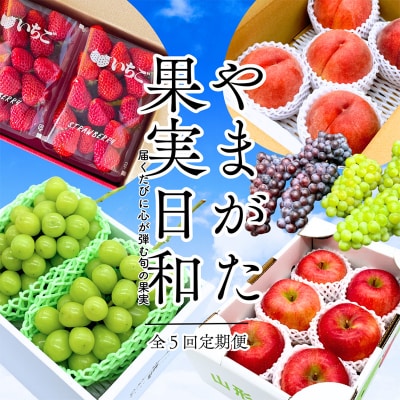 【定期便5回】やまがた果実日和定期便 【令和8年産先行予約】FS25-085