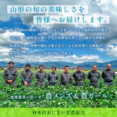 【令和7年産】山形市 村木沢産 はえぬき 玄米 30kg FZ26-928