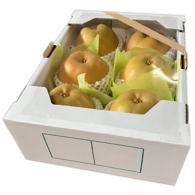 山形市産朝採れ【和梨(幸水)】 6～7玉 約2kg【令和8年産先行予約】FS25-093