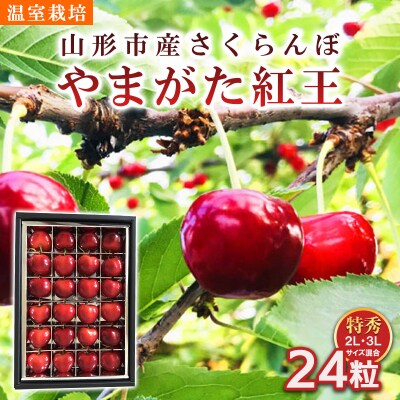 さくらんぼ 温室栽培【やまがた紅王特秀品】2L・3L混合24粒【令和8年産先行予約】FS25-094