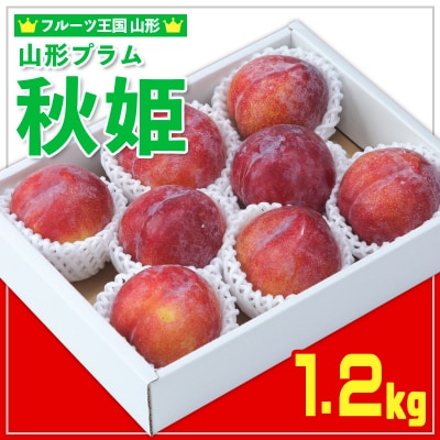 ★フルーツ王国山形★山形プラム(秋姫)1.2kg すもも【令和8年産先行予約】FS25-097