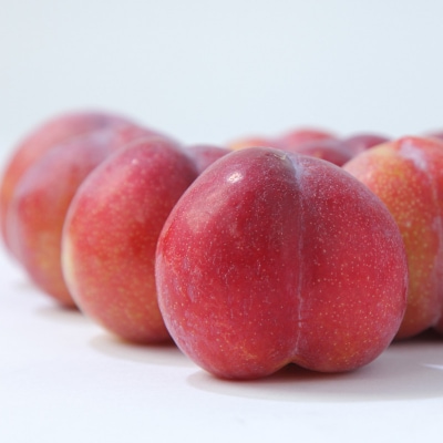 ★フルーツ王国山形★山形プラム(秋姫)1.2kg すもも【令和8年産先行予約】FS25-097