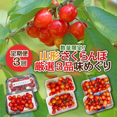 【定期便3回】数量限定!山形さくらんぼ厳選3品味めぐり【令和8年産先行予約】FS25-102