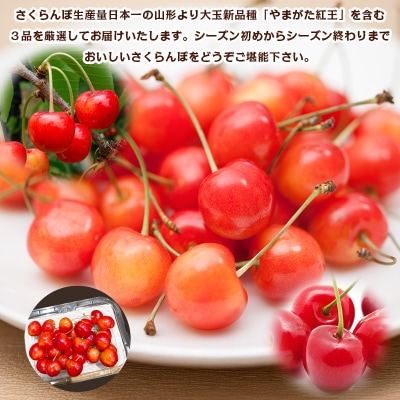 【定期便3回】数量限定!山形さくらんぼ厳選3品味めぐり【令和8年産先行予約】FS25-102