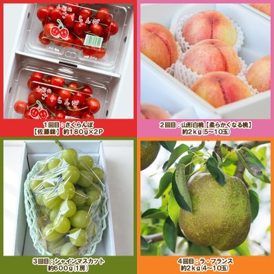 【定期便4回】ノノハナフルーツ 人気のフルーツ 食べ切り直送便【令和8年産先行予約】FS25-069