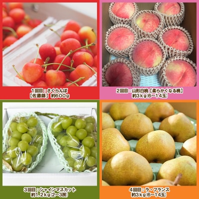 【定期便4回】ノノハナフルーツ 人気のフルーツ直送便 TOP4【令和8年産先行予約】FS25-070