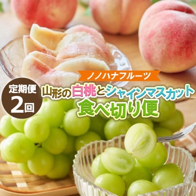 【定期便2回】桃とシャインマスカット 山形直送 食べきり便【令和8年産先行予約】FS25-073