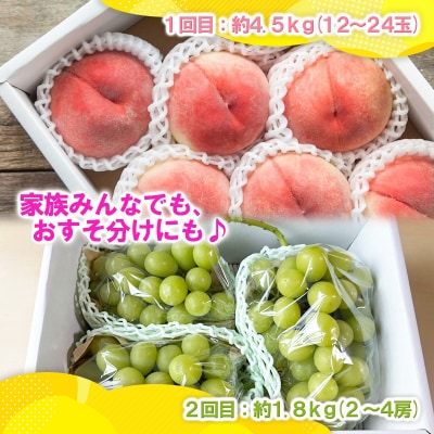 【定期便2回】白桃4.5kgと大粒シャインマスカット1.8kg【令和8年産先行予約】FS25-075