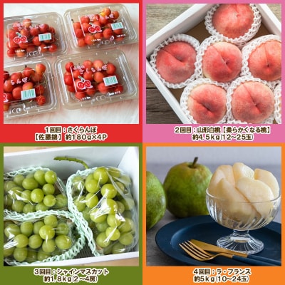 【定期便4回】ノノハナフルーツ 人気のフルーツ たっぷり満足便【令和8年産先行予約】FS25-071