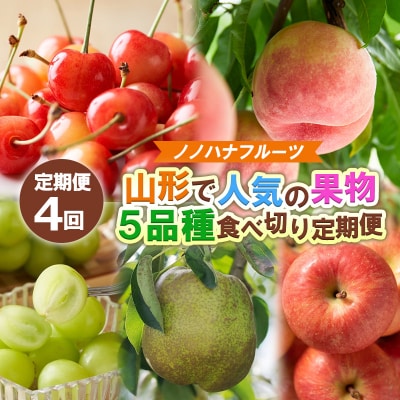 【定期便4回】ノノハナフルーツ 人気の果物5品種食べきり定期便【令和8年産先行予約】FS25-077