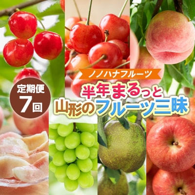【定期便7回】ノノハナフルーツ 半年まるっと山形のフルーツ三昧 【令和8年先行予約】FS25-076