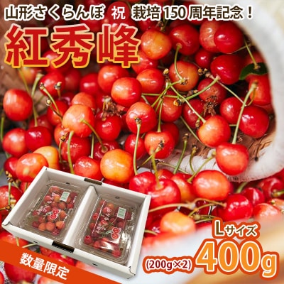 山形さくらんぼ (祝)栽培150周年記念!紅秀峰 400g 数量限定!【令和8年産】FS25-110