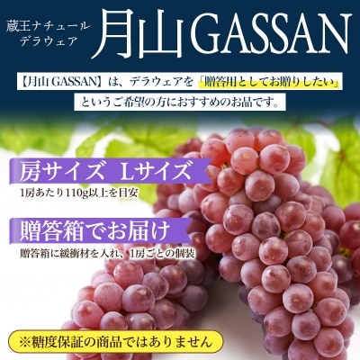 【月山 GASSAN】蔵王ナチュールデラウェア  贈答 L以上【令和8年産先行予約】FS25-119