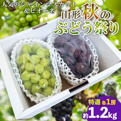 山形秋のぶどう祭り【シャインマスカット・ピオーネ 特選 2房】【令和8年産先行予約】FS25-108