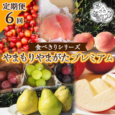 【定期便6回】★食べきりシリーズ★やまもりやまがたプレミアム【令和8年産先行予約】FS25-105