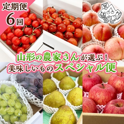 【定期便6回】山形の農家さんが選ぶ!美味しいものスペシャル便【令和8年産先行予約】FS25-107