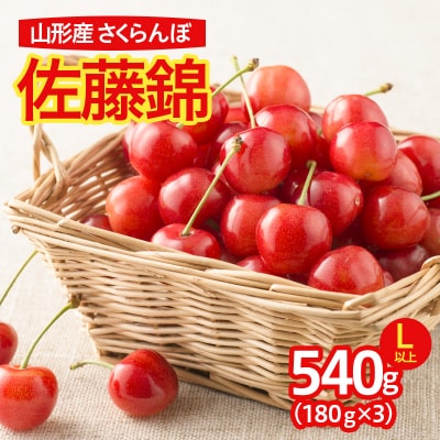  さくらんぼ 佐藤錦 540gL以上 フードパック 【令和8年産先行予約】FS25-638