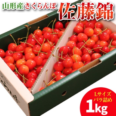 山形産 さくらんぼ 佐藤錦 1kg Lサイズ バラ詰め  【令和8年産先行予約】FY25-704