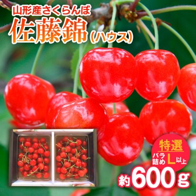 さくらんぼ 佐藤錦(ハウス)特選 バラ詰め L以上約600g【令和9年産先行予約】FS25-708 