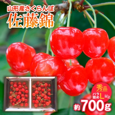 さくらんぼ 佐藤錦 バラ詰め L以上 約700g 【令和8年産先行予約】FS25-716