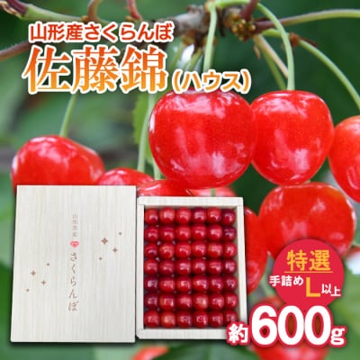 さくらんぼ 佐藤錦 (ハウス)特選 手詰め L以上約600g【令和8年産先行予約】FS25-709 