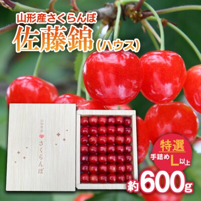 さくらんぼ 佐藤錦 (ハウス)特選 手詰め L以上約600g【令和9年産先行予約】FS25-709 