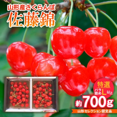 さくらんぼ 佐藤錦 特選バラ詰め L以上山形セレクション認定品【令和8年産先行予約】FS25-717