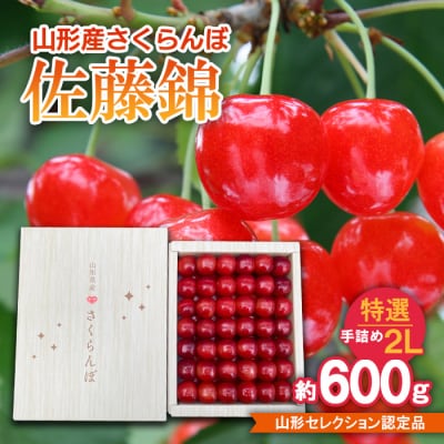 さくらんぼ 佐藤錦 特選 手詰め 2L山形セレクション認定品【令和8年産先行予約】FS25-718