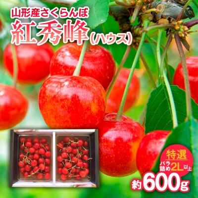 さくらんぼ 紅秀峰(ハウス)特選 バラ詰め2L以上 約600g【令和9年産先行予約】FS25-706