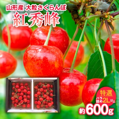 大粒さくらんぼ 紅秀峰 特選 バラ詰め 2L以上約600g【令和9年産先行予約】FS25-710