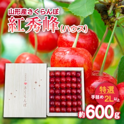 さくらんぼ 紅秀峰(ハウス)特選 手詰め 2L以上 約600g【令和8年産先行予約】FS25-707
