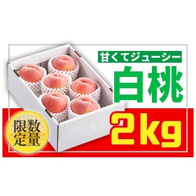 ★フルーツ王国山形★白桃秀品2kg[かため系品種] 【令和8年産先行予約】 FS25-670