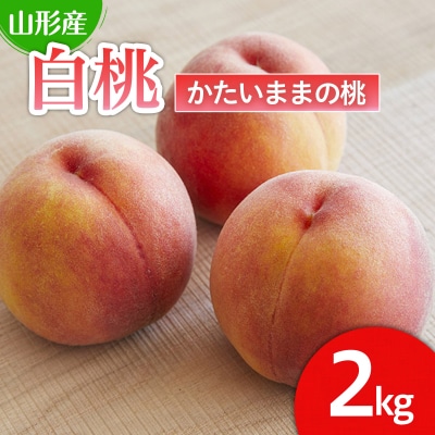 硬い食感が人気!山形産パリパリの硬い桃 約2kg 【令和8年産先行予約】FU21-078