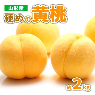 山形産 硬めの黄桃　約2kg(4～9玉)秀品 【令和8年産先行予約】FS23-778