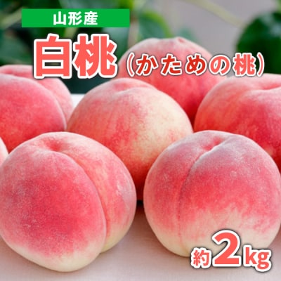 山形産 白桃 (かための桃) 約2kg 秀品 【令和8年産先行予約】FS23-719