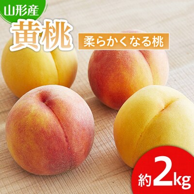山形産 黄色い桃(有袋・無袋)2kg[柔らかくなる桃]【令和8年産先行予約】FU21-166