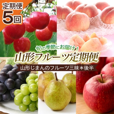 【定期便5回】山形じまんのフルーツ三昧定期便5回*後半 【令和8年産】FU22-747