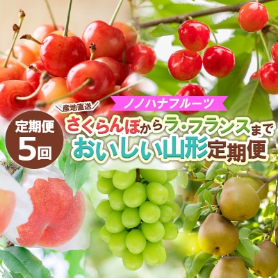 【定期便5回】さくらんぼからラ・フランスまで おいしい山形定期便 【令和8年産】FS24-717 