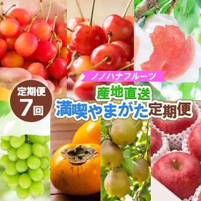 【定期便7回】ノノハナフルーツ【産地直送】満喫やまがた定期便 【令和8年産先行予約】FS25-591