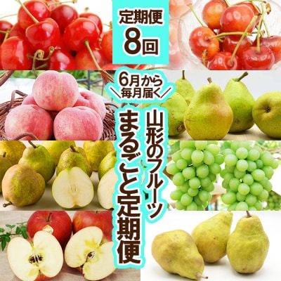 ★定期便8回★【6月から毎月届く】山形のフルーツまるごと定期便 【令和8年産】FS25-637