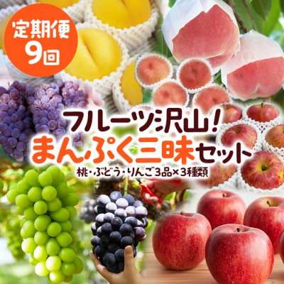 【定期便9回】フルーツ沢山!まんぷく三昧セット【令和8年産】FU23-849 