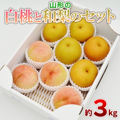 白桃と和梨の詰合せ 秀品 約3kg(6～12玉) 【令和8年産先行予約】FS24-817
