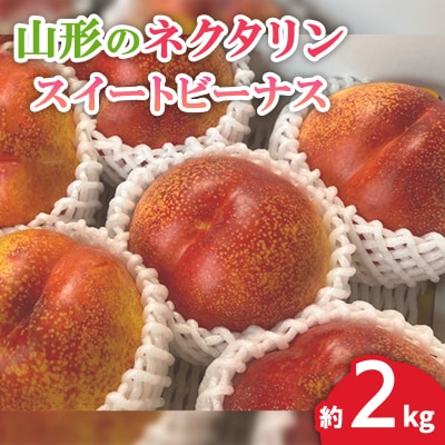 山形のネクタリン(スイートビーナス)約2kg【令和8年産先行予約】FS24-568