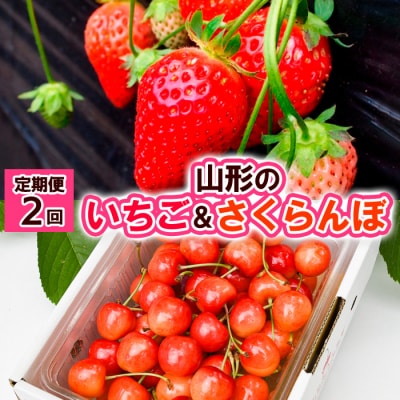 【定期便2回】山形の  いちご&さくらんぼ 【令和8年産先行予約】FS24-521