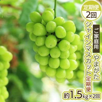 【定期便2回】ご家庭用 やまがた シャインマスカット 優品【令和8年産先行予約】FS25-699