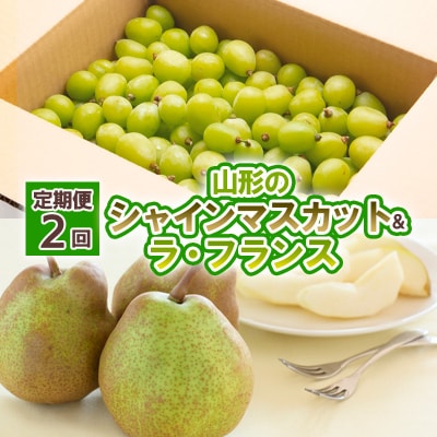 【定期便2回】山形のシャインマスカット&ラ・フランス 【令和8年産先行予約】FU23-798 