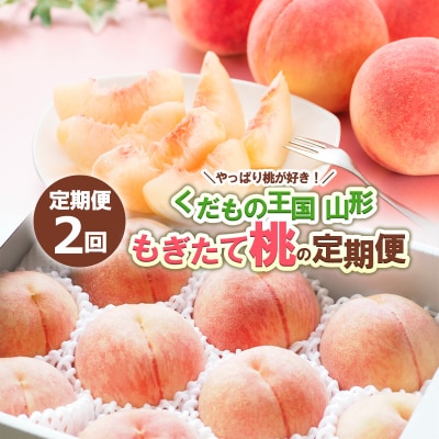 【定期便2回】やっぱり桃が好き! もぎたて桃の定期便 【令和8年産先行予約】FS24-722
