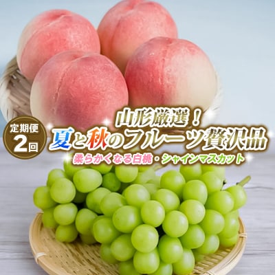 【定期便2回】山形厳選!夏と秋のフルーツ贅沢品【令和8年産先行予約】FS25-643 