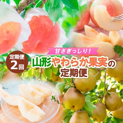 【定期便2回】甘さぎっしり!山形やわらか果実の定期便 【令和8年産先行予約】FS24-013 